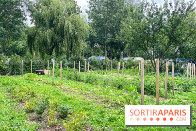 Les Rives de Paris, l'unique camping du 93 à Neuilly-sur-Marne - image00066