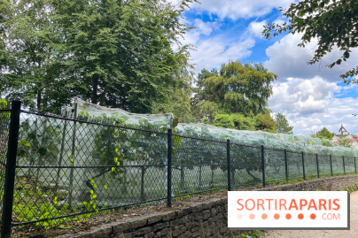 Le parc Georges Brassens, pour se croire à la campagne dans le 15e
