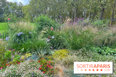 Le parc Georges Brassens, pour se croire à la campagne dans le 15e - image00017