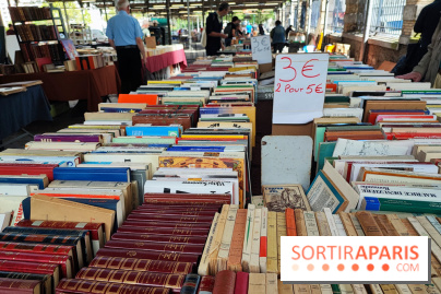 Marché du livre ancien et d'occasion - IMG 20230812 121637