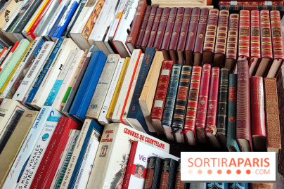 Marché du livre ancien et d'occasion - IMG 20230812 121653