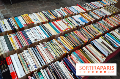 Marché du livre ancien et d'occasion - IMG 20230812 122009