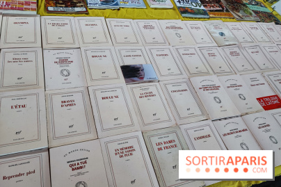 Marché du livre ancien et d'occasion - IMG 20230812 122515