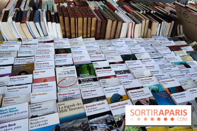 Marché du livre ancien et d'occasion - IMG 20230812 123207