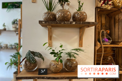 Boby la Plante