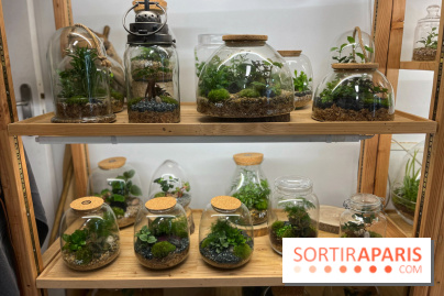 Boby la Plante - IMG 4334