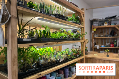 Boby la Plante
