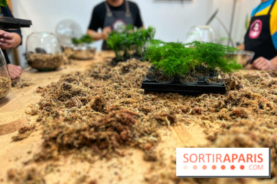 Boby la Plante - IMG 4340