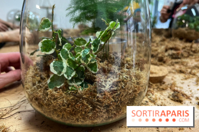 Boby la Plante - IMG 4344