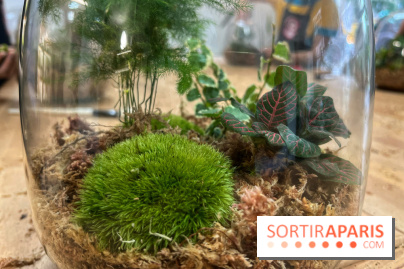 Boby la Plante - IMG 4346