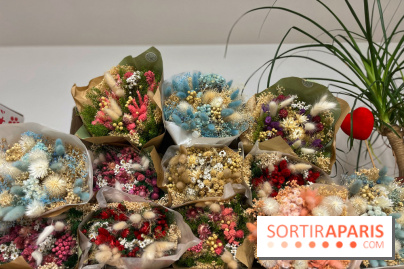 Boby la Plante - IMG 4353