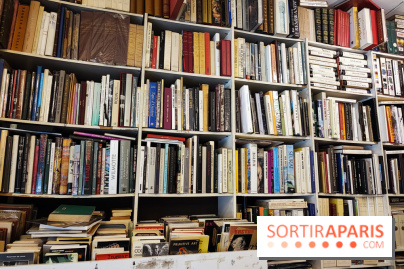 Librairie l'Odyssée - IMG 20230814 145517