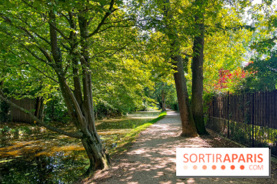 Les lacs et rivières du Vésinet, dans les Yvelines - image00030