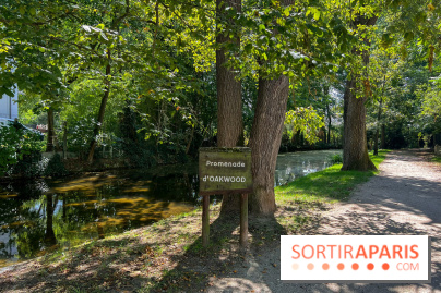 Les lacs et rivières du Vésinet, dans les Yvelines - image00038
