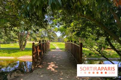 Les lacs et rivières du Vésinet, dans les Yvelines - image00063
