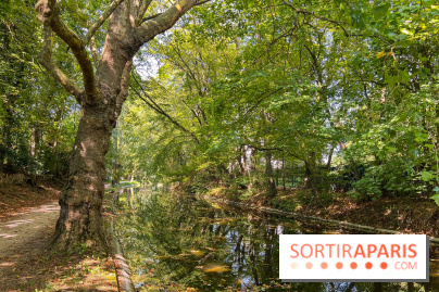 Les lacs et rivières du Vésinet, dans les Yvelines - image00065