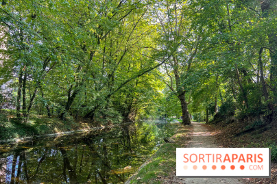 Les lacs et rivières du Vésinet, dans les Yvelines - image00069