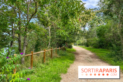 L'étang de la Galiotte dans le parc du Peuple de l'Herbe - Carrières-sous-Poissy (Yvelines) - image00021