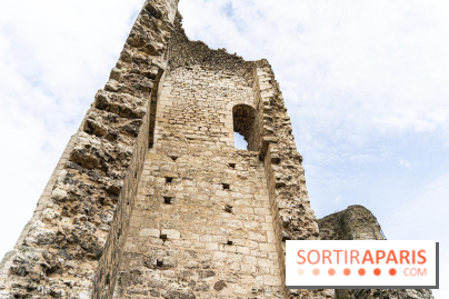 Grez-sur-Loing, le charmant village de Seine-et-Marne  -  A7C9378