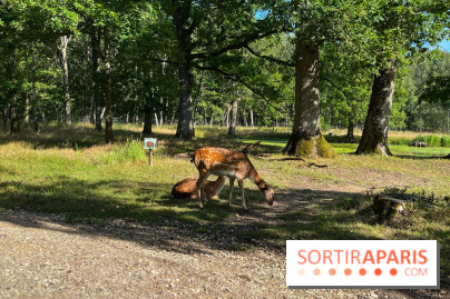 Espace Rambouillet - IMG 4425