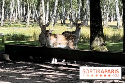 Espace Rambouillet - IMG 4544