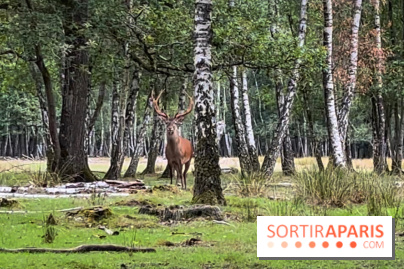 Espace Rambouillet