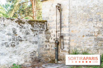 Bourron-Marlotte, village de Seine-et-Marne -  A7C9333