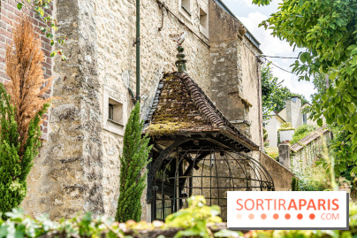 Village de Bois-le-Roi : les Affolantes en bord de Seine -  A7C8862