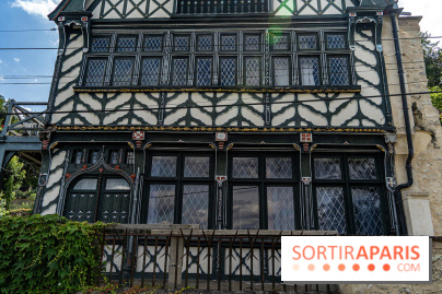 Village de Bois-le-Roi : les Affolantes en bord de Seine -  A7C8854