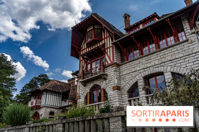 Village de Bois-le-Roi : les Affolantes en bord de Seine -  A7C8839