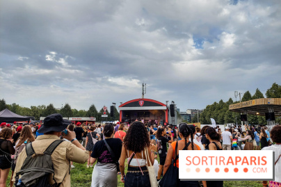 Rock en Seine 2023, nos photos - 20230823 184153
