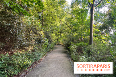 Le parc de Belleville - image00057