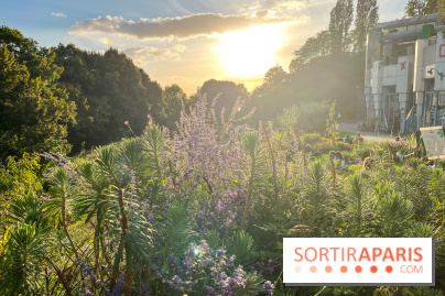 Le parc de Belleville - image00027