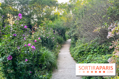 Le parc de Belleville - image00019