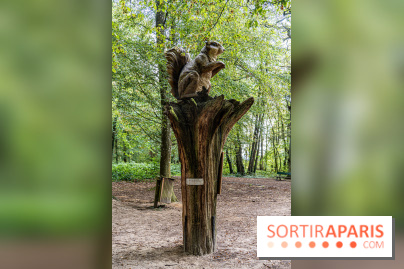 Le village de Janvry en Haute Vallée de Chevreuse  -  A7C0049