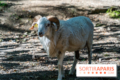 Le village de Janvry en Haute Vallée de Chevreuse  -  A7C0060