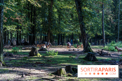 Le village de Janvry en Haute Vallée de Chevreuse  -  A7C0063