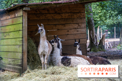 Le village de Janvry en Haute Vallée de Chevreuse  -  A7C0046