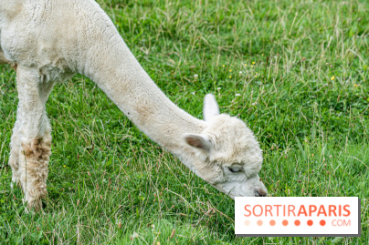 Le village de Janvry en Haute Vallée de Chevreuse  -  A7C9966