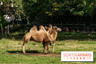 Le village de Janvry en Haute Vallée de Chevreuse  -  A7C0067