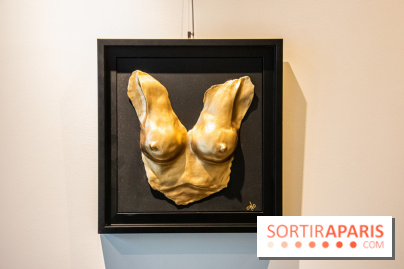 Exposition Organessence Ono galerie La Lison