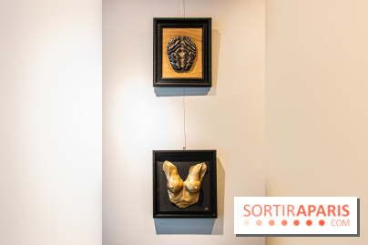 Exposition Organessence Ono galerie La Lison