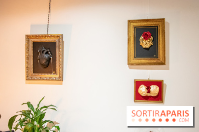 Exposition Organessence Ono galerie La Lison