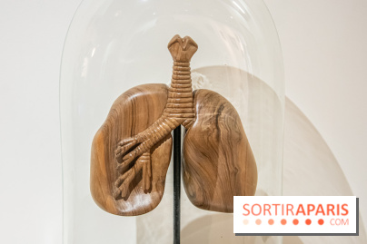 Exposition Organessence Ono galerie La Lison