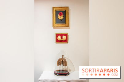 Exposition Organessence Ono galerie La Lison