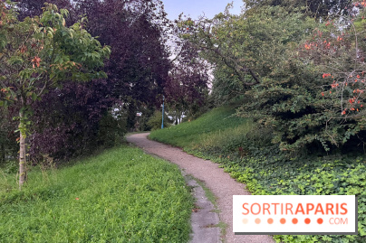 Festival Silhouette au parc de la Butte du Chapeau Rouge - image00012