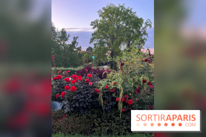 Festival Silhouette au parc de la Butte du Chapeau Rouge - image00007