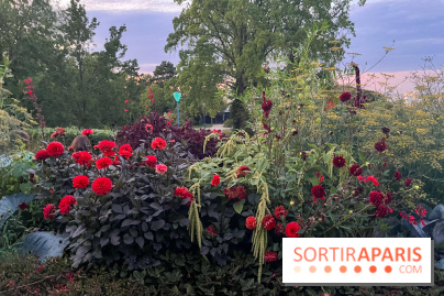 Festival Silhouette au parc de la Butte du Chapeau Rouge - image00008