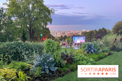 Festival Silhouette au parc de la Butte du Chapeau Rouge - image00009