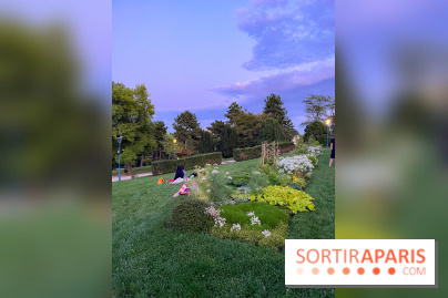 Festival Silhouette au parc de la Butte du Chapeau Rouge - image00002